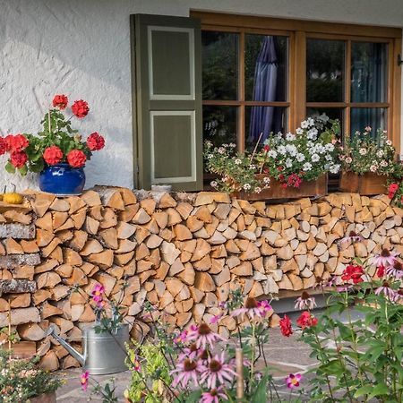 Ferienwohnung Gipfelblick Grainau Dış mekan fotoğraf